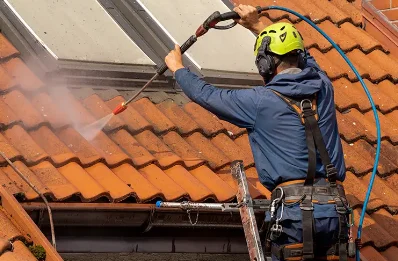 Démoussage et hydrofuge de toiture à Saleignes